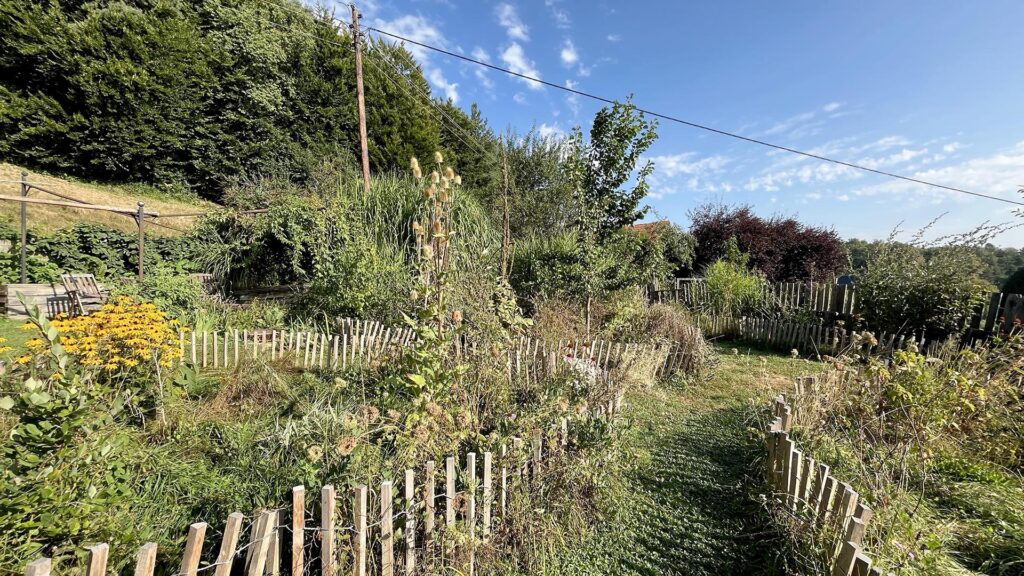 Renaturierung am Landsitz: unser "Wilder Garten"